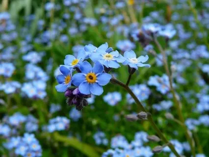 Steps Through Life's  Shifting Ground - May 15