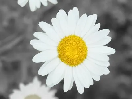 Steps Towards Happiness