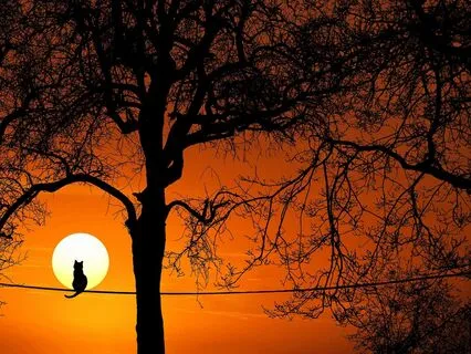 Stereolized Brown Noise - Premium Sleep Sounds Collection