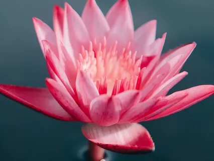 Sthitaprajna Is Settled In Shreyas In Attitude & Behavior