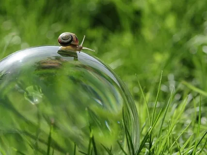 'Sticktuitiveness' Is Not A Word But I Strive For It Every Day!