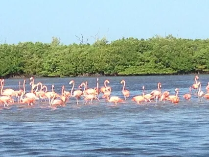 Still Body, Still Mind