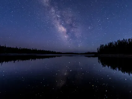 Still - Calming Harp And Violin Improvisation