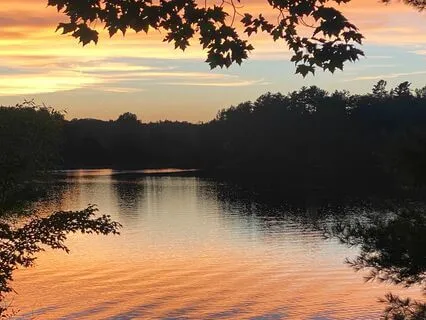 Still Lake Of The Mind Meditation