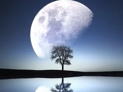 Still Lake Of The Mind