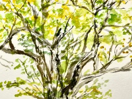 Still Mind & Open Heart