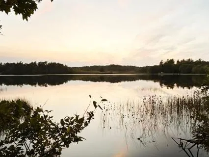 Still: Music For Sleep