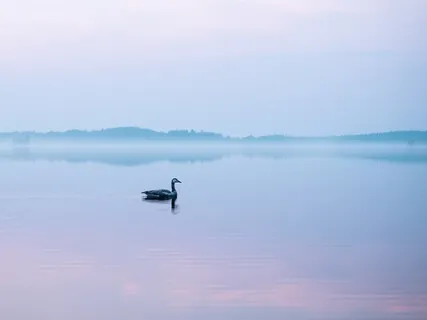 Still On My Mind (Solo Piano)