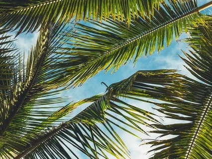 Still Points Of Relaxation