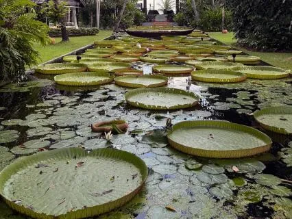 Still Space Awareness