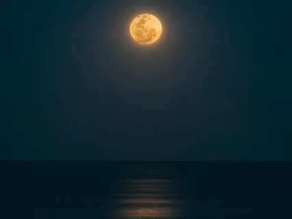 Still The Body, Mind & Heart [Emptying To Stillness & Bliss]