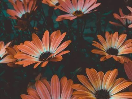 Beauty Of An Open Heart Open