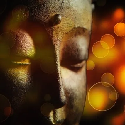 Still The Wandering Mind