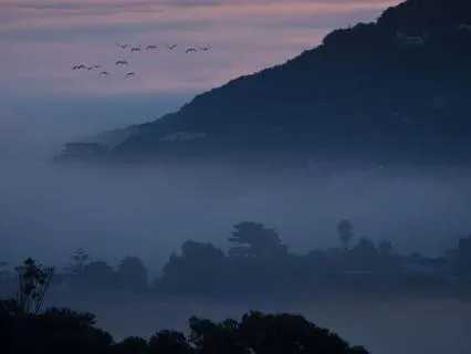 Dawn - Serene Music For Rest