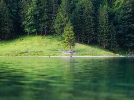 Still Waters: Calm Your Restless Thoughts