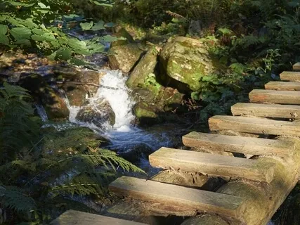 Stille Wasser: Naturgeräusche zum Entspannen Meditieren Lernen