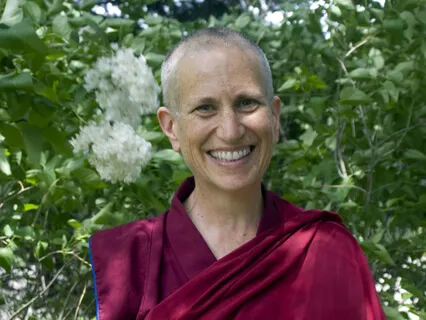 Stilling the Critical Mind