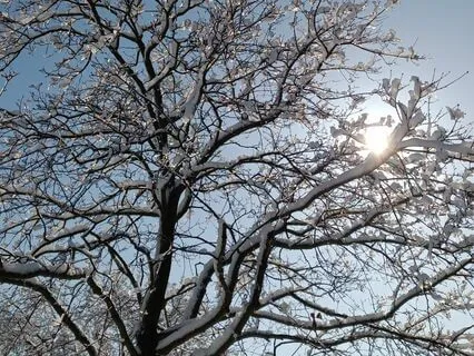 Stillness: Meditation Piano for Quiet Reflection