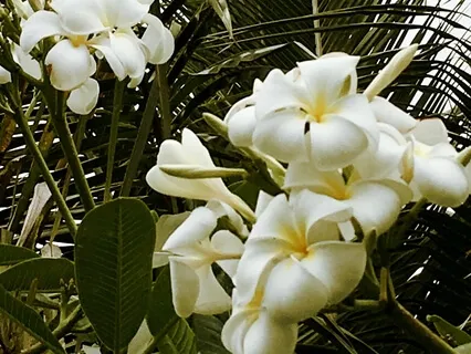 Stillness - A Talk And Meditation