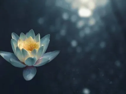 Stillness And Relaxation Meditation