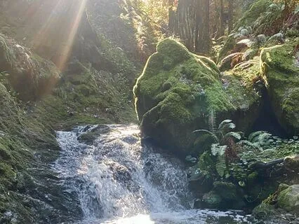 Stillness As Kuan Yin Magic