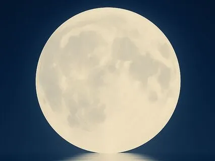 Stillness Before Sleep