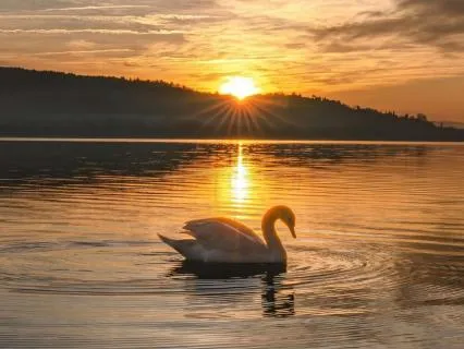 Stillness Beneath The Noise: A Journey To Inner Peace