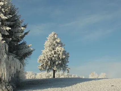 Stillness Beneath The Season