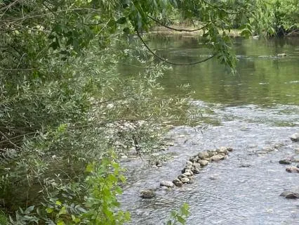 Stillness By The River, Finding Focus In Overwhelm.