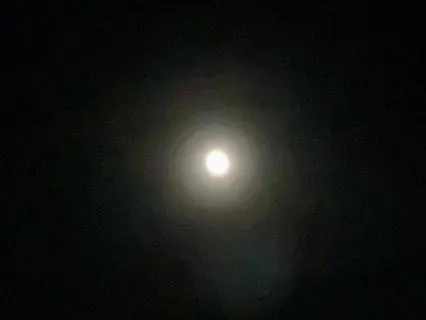 Stillness (Grounded Sleep with Thunder – 9 Hours)