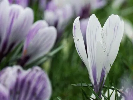 Stillness In The Evening