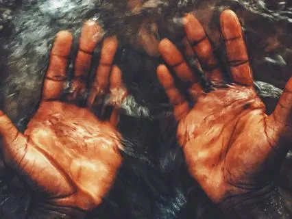 Stillness In The Flow