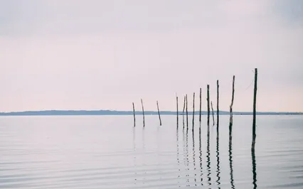 Stillness In The Space Between Breaths