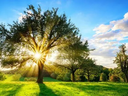 Stillness In The Storm: A Grounding Practice For Anxiety