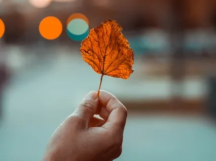 Consider Your Relationship With Stillness