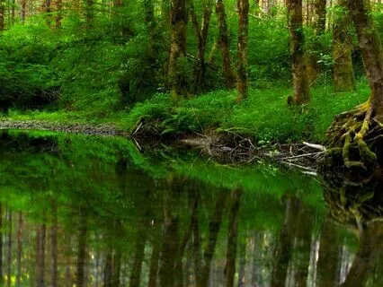 Stillness Meditation For Grounding And Centering