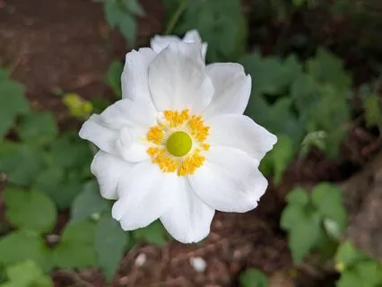 Stillness | Mindful Motivation