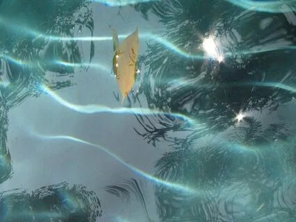 "Stillness" - Music For Meditation