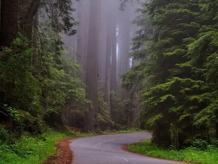 Stillness Music For Relaxation