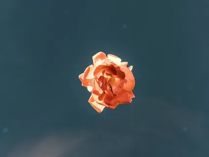 Stillness No. 1 - Quiet Backgound Meditation Music