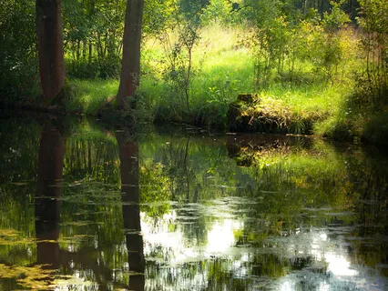 Stillness Of Surrender