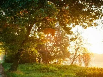 Stillness Of The Early Dawn