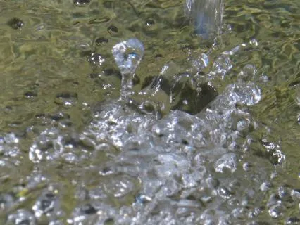 Stillness Of The Pond: The Pond Awakens (Part I)