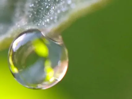 Stillness: Reading Of Poem By Candace Feldman