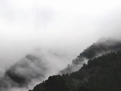 Stillness Symphony - Pause Interlude