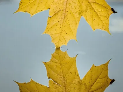 Stillness Through Stability In The Body & The Mind