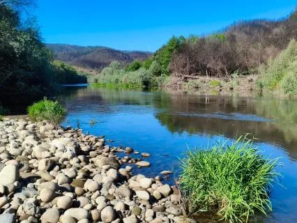 Stillness Within — Feel The God Within