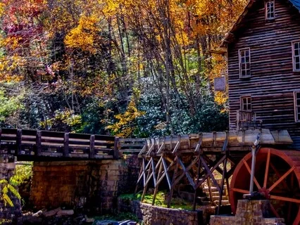 Stimulate Normalized Blood Circulation 337Hz [Body Healing]