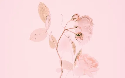 Stimulating Pink Noise For Meditation, Focus & Concentration 4