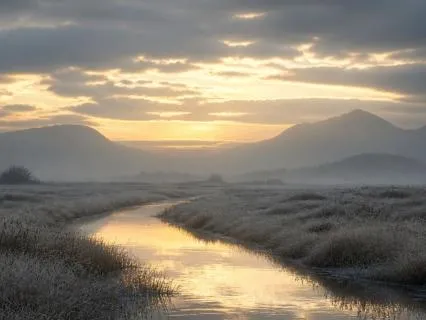Stoic Attention Practice: Return Before The Noise